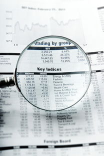 铜梁同志供卵选性别：nt值偏高风险大吗下一步检查什么？
